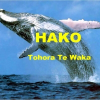 The HAKO (aka) HAKOTA (aka) HAGOTH JOURNEY TO AOTEAROA, NEW ZEALAND PRESENTATION FIRESIDE